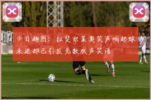 今日趣图：拉斐尔莱奥笑声响起球未进却已引发无数欢声笑语
